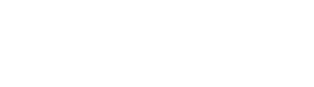 Proton X50